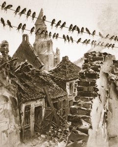 Soissons during the war: a congress of swallows discussing matters before migrating, illustration from 